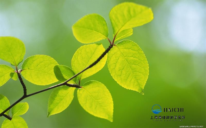 不请律师，你在离婚案件中会吃亏吗？-海驰网站制作