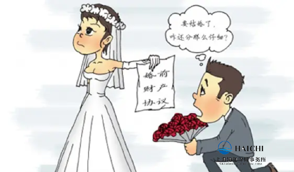 从女博士千万离婚案，看《婚前或者婚内财产约定协议》-海驰网站制作