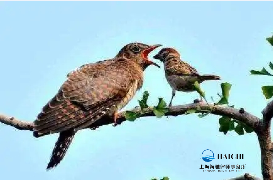 离婚后怎样变更子女的抚养权？-海驰网站制作